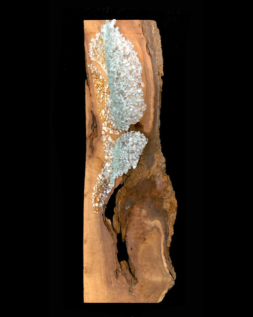 Crested Walnut glass and wood wall sculpture by Jen Muse