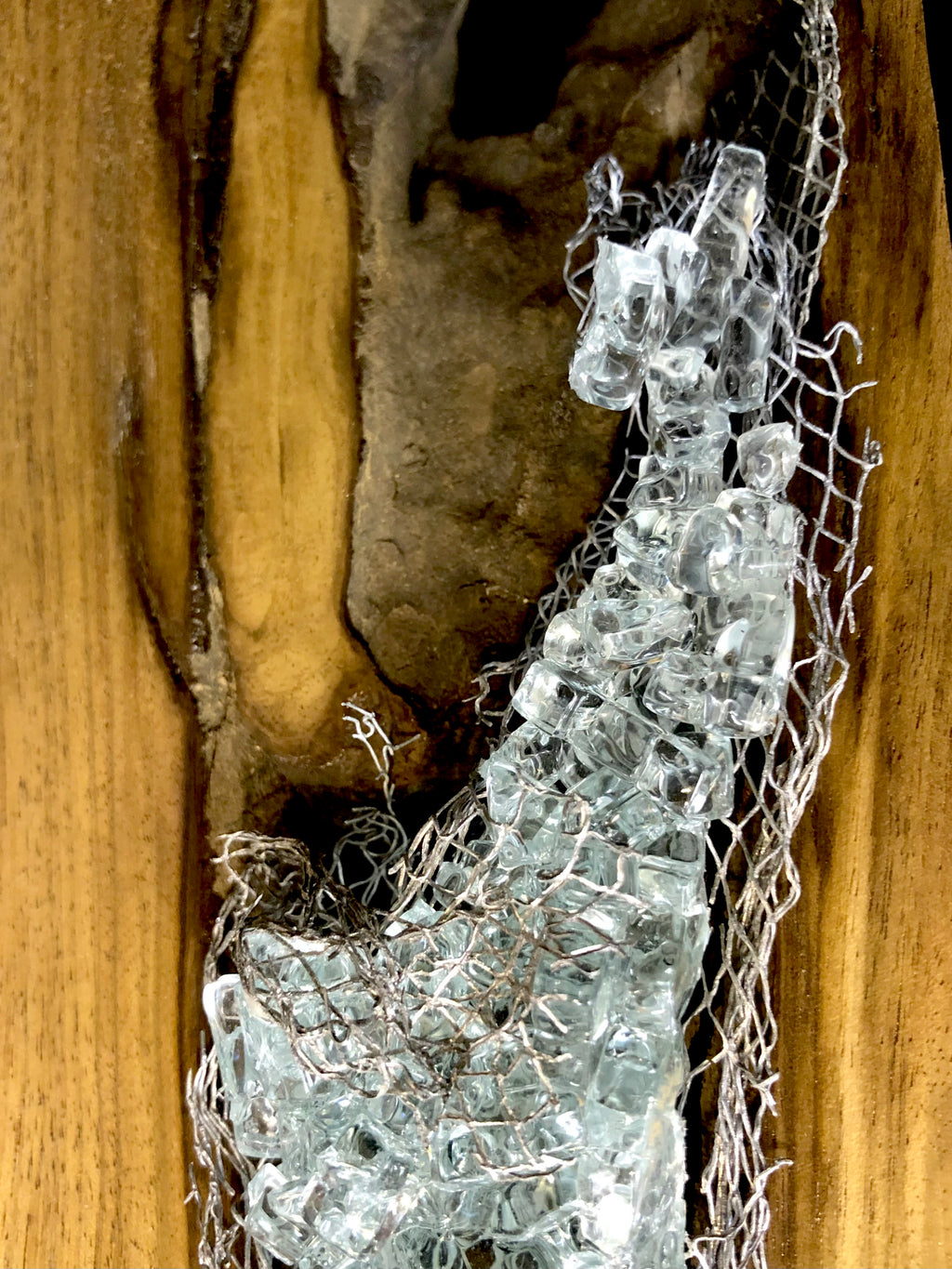 Knotty Walnut - Original Sculpture